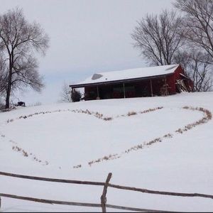 Meet your Posher, Gesina